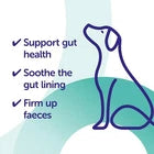 Protexin Veterinary Pro-Kolin Advanced Probiotics Paste for Dogs 15ml